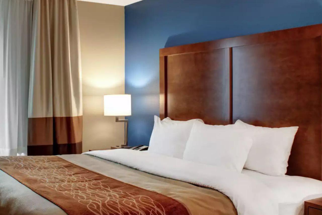 Comfort & Hotel