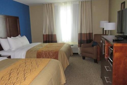 Comfort & Hotel